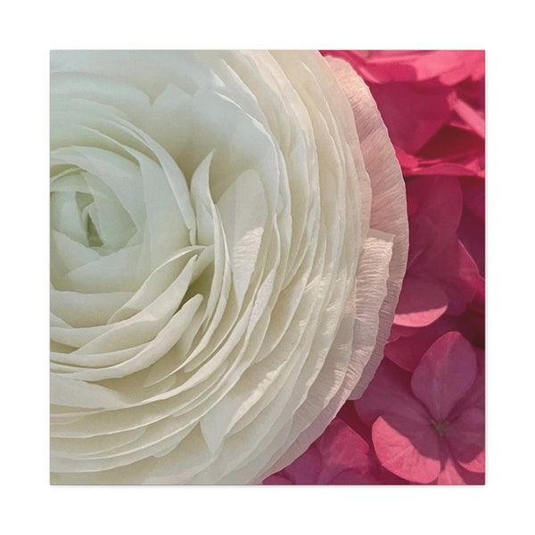 Pink Hydrangea and White Ranunculus Flower Art - Nature Photograph on Canvas