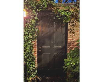 Romantic Black Door with Ivy Art - Photograph on Canvas