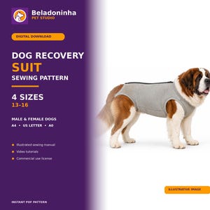 Op de afbeelding: Een digitaal naaipatroon voor een herstelpak voor honden, met de tekst Beladoninha Pet Studio, Dog Recovery Suit Sewing Pattern, 4 Sizes 13-16, Male & Female Dogs, A4, US Letter, A0, Illustrated sewing manual, Video tutorials, Commercial use license, Instant PDF Pattern, Illustrative Image. Een Sint-Bernard draagt een grijs herstelpak.