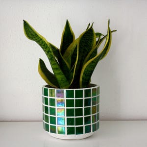 May include: A snake plant with long, pointed green leaves featuring yellow edges, potted in a cylindrical planter covered in a grid of small, dark green square tiles, some of which have an iridescent, rainbow-like reflective finish.