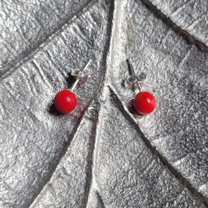 Geverfde oorbellen van rood koraal. 6 mm doorsnee.