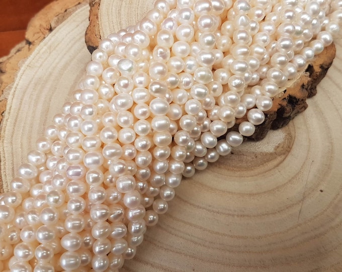 Ivory Freshwater Pearl Beads: 6mm DIY Jewelry Design