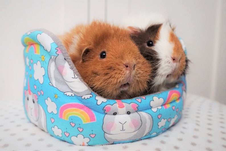 Make Your Own Guinea Pig Cuddle Cups: Digital Sewing Pattern and Instructions image 1