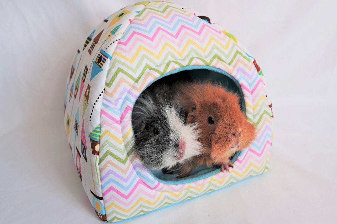 Little Live Pets Mama Surprise Interactive Guinea Pig & Hut NEW (SHIPS FROM  USA)