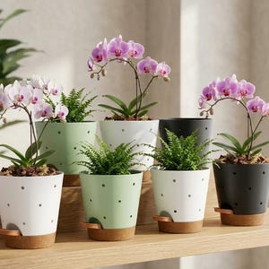 Set of 6 Multicolor 6 Inch Orchid Pots Holes Self Watering Plastic Indoor Planters