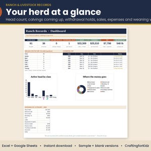 Pode incluir: Um modelo de painel digital para registros de fazenda e gado, apresentando uma tabela de resumo, cronograma de próximos eventos, gráfico de barras, gráfico de pizza para despesas e uma tabela detalhada de custos financeiros.
