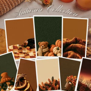 May include: A collection of eight rectangular cards featuring the text Autumn Collection at the top. The cards display various seasonal imagery including a teddy bear with pumpkins, a cat in a knit hat, dried orange slices, and autumn foliage.