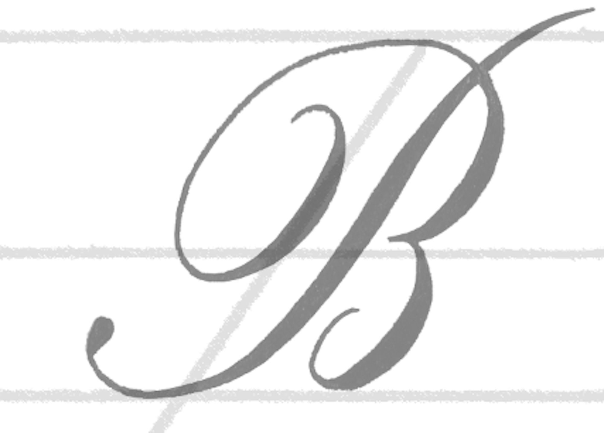 Copperplate Calligraphy Practice Sheets Digital Worksheets Etsy Australia