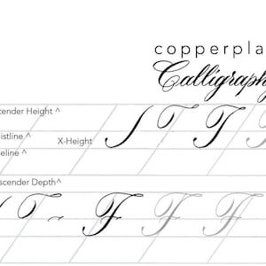 Copperplate Printable Calligraphy Practice Sheets - Worksheets - Instant digital download - Improve your pointed pen calligraphy!