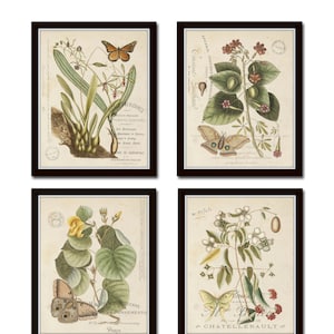 Vintage Butterfly and Botanical Collage Print Set No.1, Giclee, Prints, Botanical Prints, Wall Art, Prints, Vintage Butterfly Prints, Art image 1