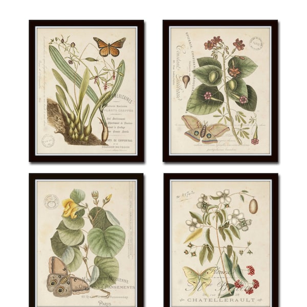 Vintage Butterfly and Botanical Collage Print Set No.1, Giclee, Prints, Botanical Prints, Wall Art, Prints, Vintage Butterfly Prints, Art