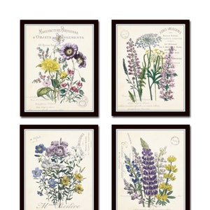 French Botanical Collage Print Set No. 2, Botanical, Print Set, Wall Art, Giclee, Flower Art, Vintage Botanical, Flower Prints, Illustration