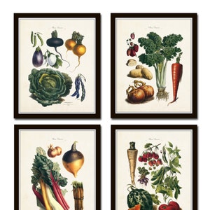 French Vegetable Print Set, Giclee, Art, Illustration, Botanical Prints, Wall Art, French Vegetable Prints, Kitchen Art, Vegetable Prints