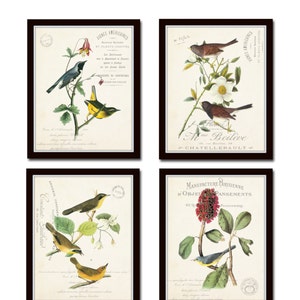 French Aviary Collage Print Set No. 3, Vintage Botanical Prints, Print Set, Wall Art, Giclee, Vintage Bird Prints, Audubon Bird Prints