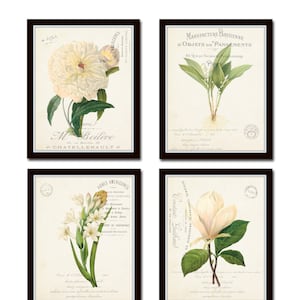 French Botanical Collage Print Set No. 3, Vintage Botanical, Print Sets, Wall Art, Giclee, Art Print, Botanical Print, White Flower, French