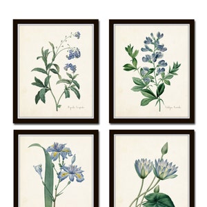 Botanical Print Set, Redoute Botanical Prints, Wall Art, Giclee, Blue Botanical Prints, Prints, Collage, Blue Flowers