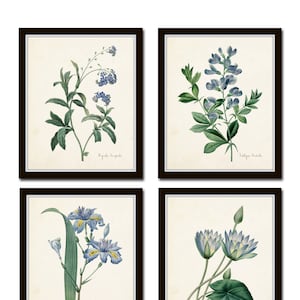 Botanical Print Set, Redoute Botanical Prints, Wall Art, Giclee, Blue Botanical Prints, Prints, Collage, Blue Flowers