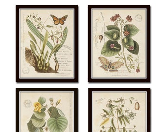 Vintage Butterfly and Botanical Collage Print Set No.1, Giclee, Prints, Botanical Prints, Wall Art, Prints, Vintage Butterfly Prints, Art