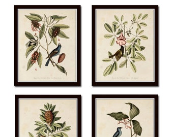 Bird and Botanical Print Set No. 5, Botanical Print Set, Vintage Bird Prints, Vintage Botanical Art, Wall Art, Home Decor, Bird Prints