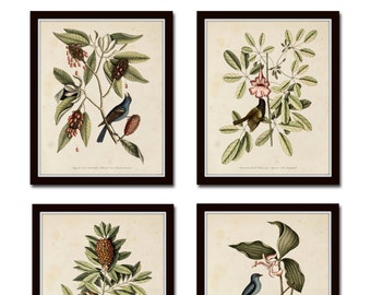 Bird and Botanical Print Set No. 5, Botanical Print Set, Vintage Bird Prints, Vintage Botanicals, Wall Art, Print, Wall Art, Bird Prints