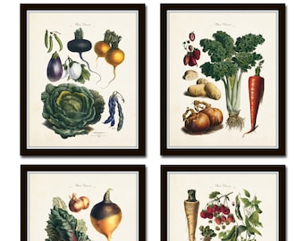 French Vegetable Print Set, Giclee, Art, Illustration, Botanical Prints, Wall Art, French Vegetable Prints, Kitchen Art, Vegetable Prints