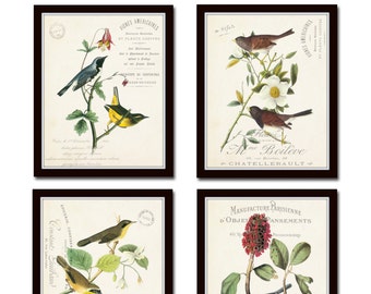 French Aviary Collage Print Set No. 3, Botanical Prints, Print Set, Wall Art, Giclee, Vintage Bird Prints, Audubon Bird Prints, Illustration