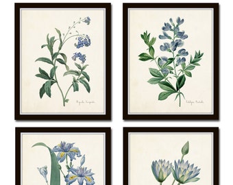 Botanical Print Set, Redoute Botanical Prints, Wall Art, Giclee, Blue Botanical Prints, Prints, Collage, Blue Flowers