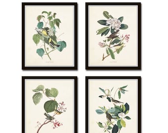 Audubon Bird Prints Set No. 16, Botanical Prints, Audubon Prints, Vintage Bird Prints, Giclee, Wall Art, Vintage Bird Prints