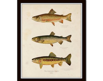 Vintage Trout Print No. 1, Giclee, Fish Art, Fly Fishing, Cabin Decor, Angler Art, Fish Print, Art Print, Illustration, Collage, Trout Print