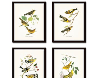 Audubon Bird Prints Set No. 2, Botanical Prints, Art Prints, Vintage Bird Prints, Giclee, Wall Art, Bird Prints