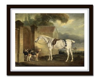 May include: A white horse with a brown saddle and bridle stands in a grassy field near a stone building. Two brown and white dogs are in the foreground.