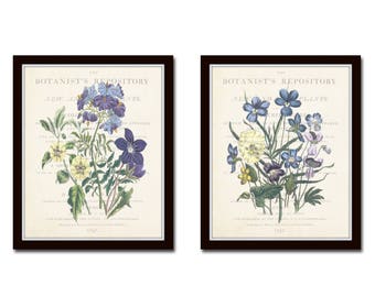 Garden Flowers Print Set No.22, Collage, Botanical Prints, Giclee, Art Print, Antique Botanical, Botanical Print Set, Botanical, Wall Art