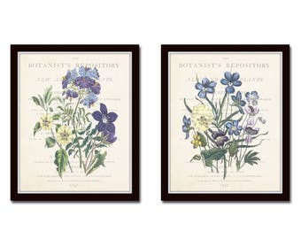 Garden Flowers Print Set No.22, Collage, Botanical Prints, Giclee, Art Print, Antique Botanical, Vintage Botanical, Vintage Wildflower Art