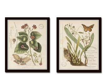 Vintage Butterfly and Botanical Collage Print Set No. 2, Giclee, Antique Botanical Prints, Wall Art, Prints, Vintage Butterfly Prints