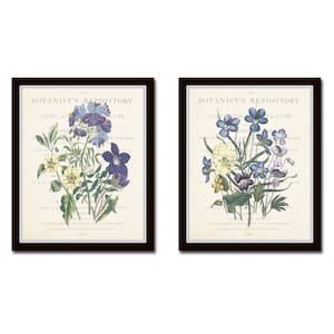 Garden Flowers Print Set No.22, Collage, Botanical Prints, Giclee, Art Print, Antique Botanical, Vintage Botanical, Vintage Wildflower Art