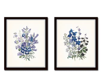 Wildflower Botanical Print Set No.2, Botanical Prints, Giclee, Art Prints, Antique Botanical, Vintage Botanical Art, Blue Flower Art