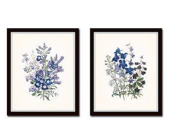 Wild Flowers Botanical Print Set No.2, Botanical Prints, Giclee, Art Prints, Antique Botanical, Botanical Art, Botanical, Wall Art,