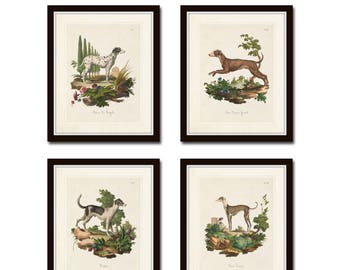 Vintage French Dogs Print Set No. 1, Vintage Dog Prints, Giclee, French Style Prints, Vintage Art, Home Decor, Wall Art, Antique Dog Prints