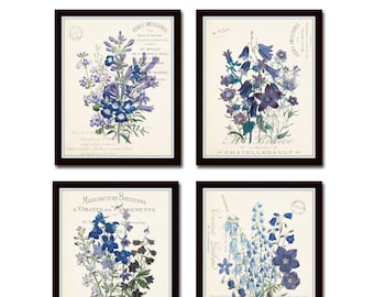 French Botanical Collage Print Set No. 29, Botanical Print, Wall Art, Giclee, Vintage Botanical, Wildflower Art Prints, Vintage Art
