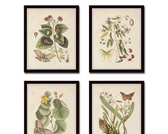 Vintage Butterfly and Botanical Print Set No. 9, Giclee, Prints, Antique Botanical Prints, Wall Art, Vintage Butterfly Prints, Print Set