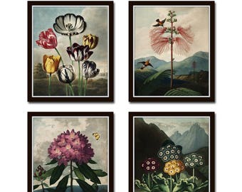 Botanical Print Set No. 15, Antique Botanical Prints, Giclee, Art Prints, Botanical Prints, Wall Art, Antique Botanical, Vintage Art