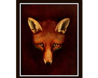 Antique Fox Portrait, Giclee, Print, Wall Art, Art Print, Fox Print, Animal Prints, Home Decor, Farmhouse Decor, British Fox Hunting Prints