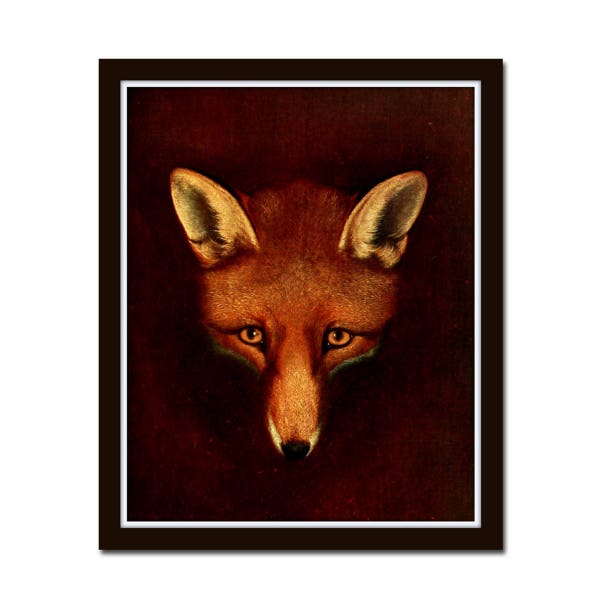 Antique Fox Portrait, Giclee, Print, Wall Art, Art Print, Fox Print, Animal Prints, Home Decor, Farmhouse Decor, British Fox Hunting Prints