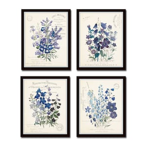 French Botanical Collage Print Set No. 29, Botanical Print, Wall Art, Giclee, Vintage Botanical, Wildflower Art Prints, Vintage Art