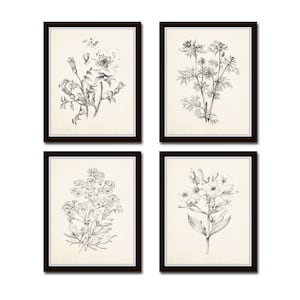 Vintage Botanical Sketch Prints Set No. 2, Botanical Prints, Giclee, Art Print, Vintage Botanicals, Illustration, Flower Prints, Flower Art Bild 1