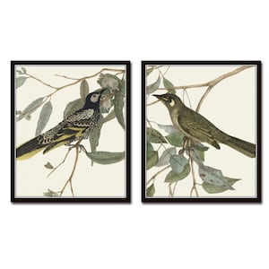 Vintage Aviary Print Set No. 1, Botanical Prints, Bird Art, Home Decor, Wall Art, Vintage Art, Giclee, Vintage Bird Prints