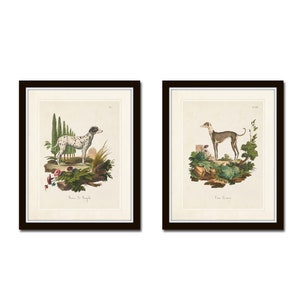 Vintage French Dogs Print Set No. 2, Vintage Dog Prints, Giclee, French Style Prints, Art Print, Wall Art, Print Sets