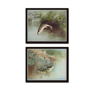 Vintage Fish Print Set, Giclee, Wall Art, Trout Print, Angler Art, Cabin Art, Vintage Fish Art, Fly Fishing Art, Sportsman Art