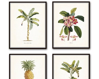 Tropical Botanical Print Set, Giclee, Art, Prints, Wall Art, Coastal Decor, Plumeria, Palm Tree Print, Pineapple Print, Tropical Flowers