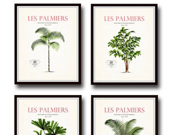 Vintage French Palm Tree Print Set No. 2, Giclee, Art Prints, Palm Tree Prints, Beach Decor, Coastal Decor, Botanical Print Set, Collage